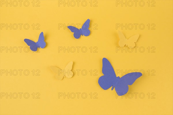 Paper butterflies scattered table
