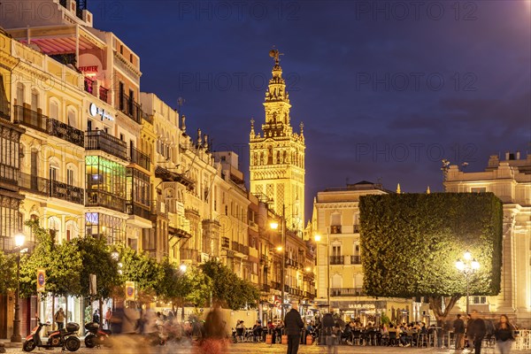 Restaurants in the Plaza de San Francisco and the Giralda bell tower of Santa Maria de la Sede Cathedral at dusk