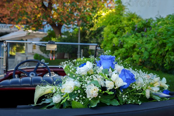 Antique Vintage Wedding Car Decorated with Flowers prepared to take the bride and groom to the church