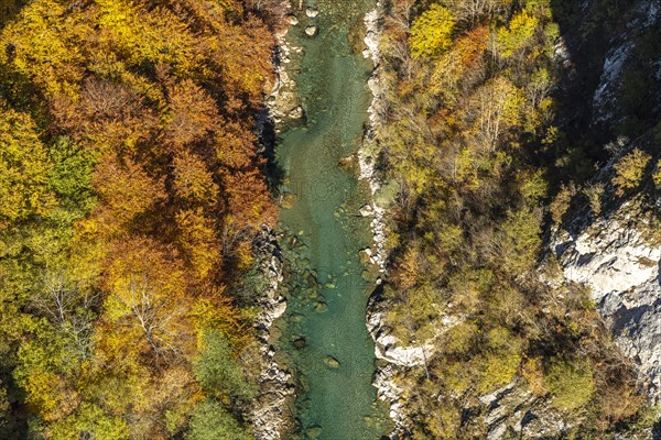 Tara River and Gorge in Autumn