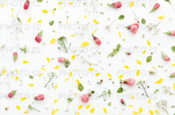 Decorative floral pattern