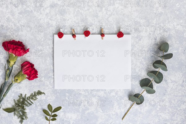 Red carnation flowers with paper table