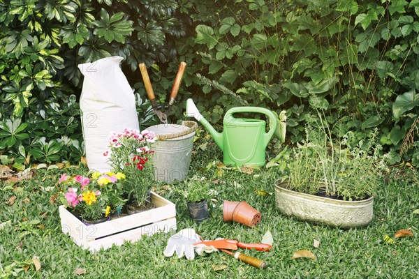 Gardening inventory with flowerpots grass