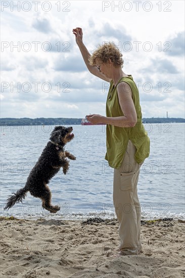 Woman playing with dog