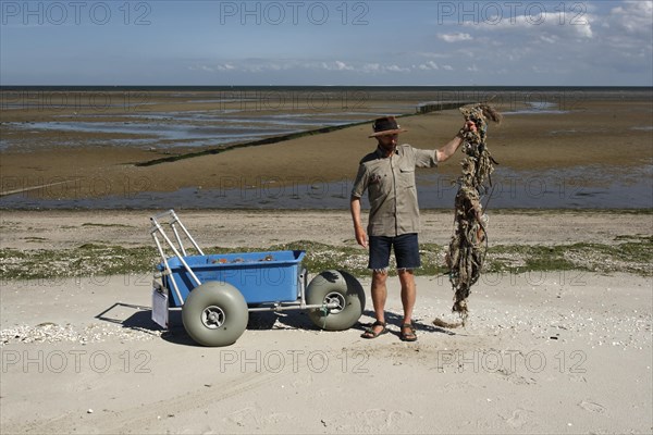 Systematic recording of beach litter on an uninhabited island in the North Sea