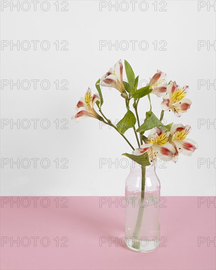 Blossom flowers vase table 6