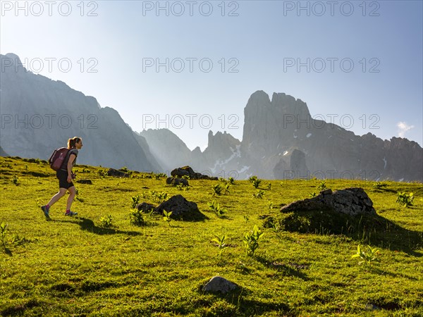 Woman hiking across alpine meadow in front of the peaks of the Bischofsmuetze