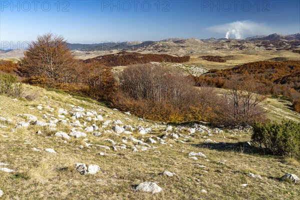 Mountain landscape of Durmitor National Park in autumn