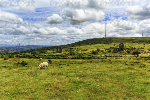 High moor