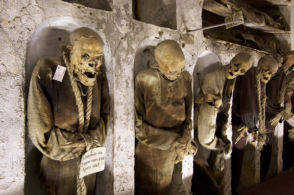 Row of standing mummies