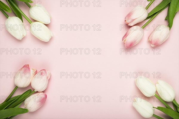 Frame blossom tulips with copy space