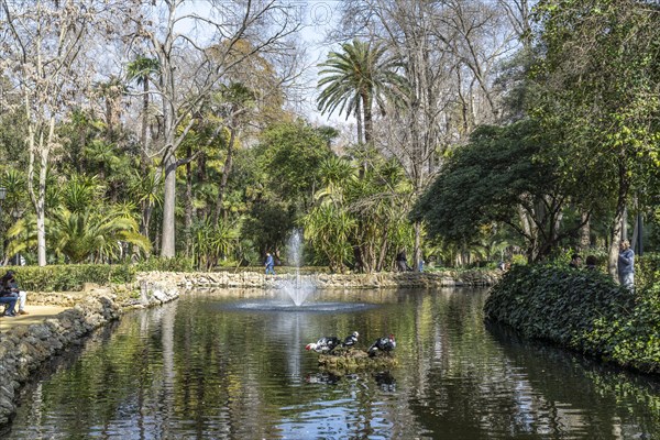 Pond in Maria Luisa Park