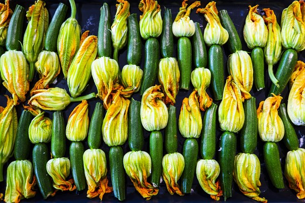 Fresh flowering courgettes on a baking tray