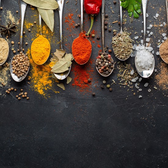 Indian condiments flat lay