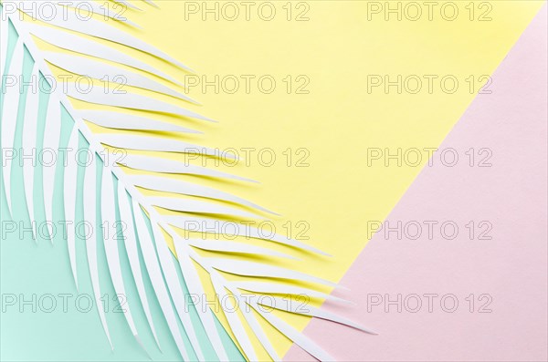 Paper palm leaf multicolored table