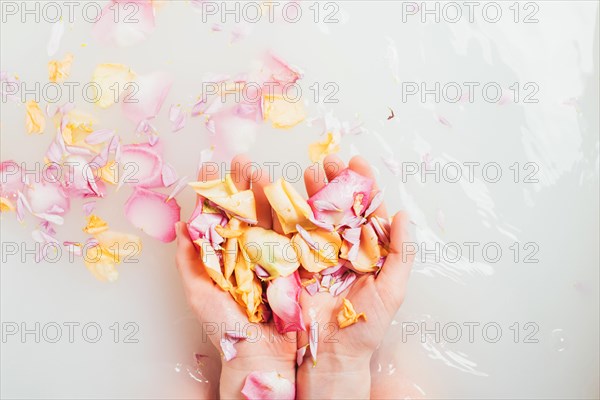 Hands with pile petals