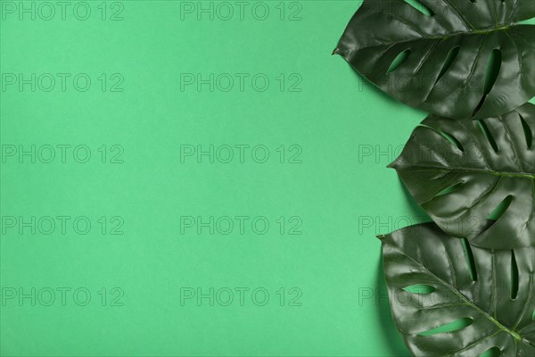 Top view realistic leaves paper