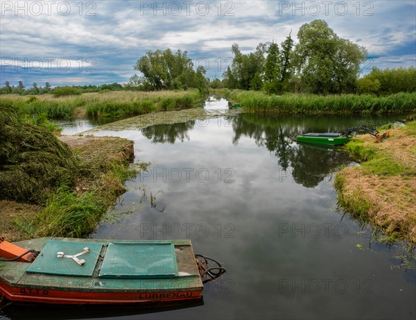 Spree near Luebbenau