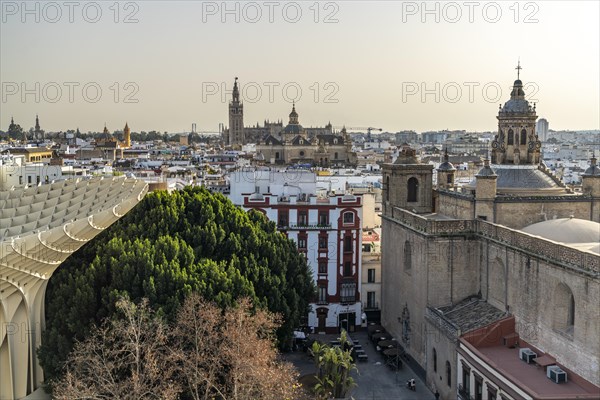 View of the cathedral and the church Iglesia de la Anunciacion from the Metropol Parasol