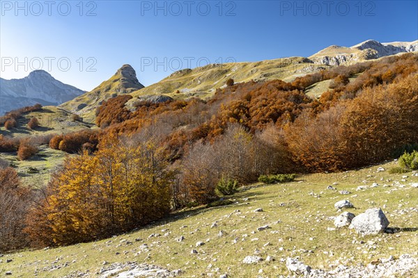 Mountain landscape of Durmitor National Park in autumn