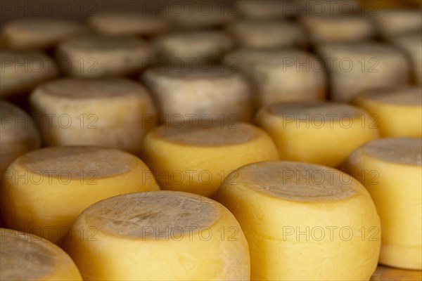 Variety rustic cheese wheels