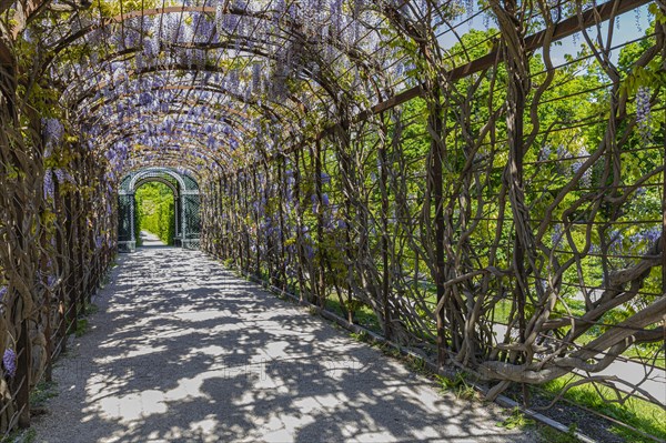 Walkway with blue rain