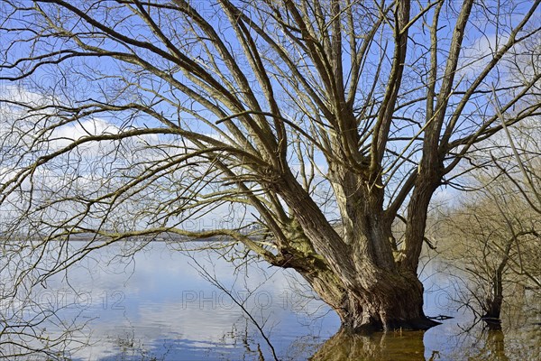 Moehnesee