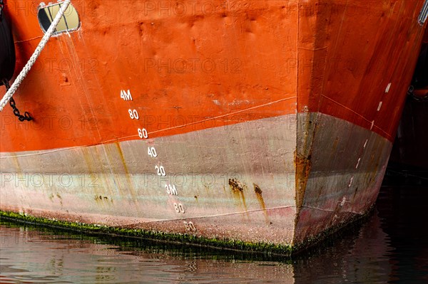 Old ship bow showing signs of deterioration with rust and parasites attached to the hull