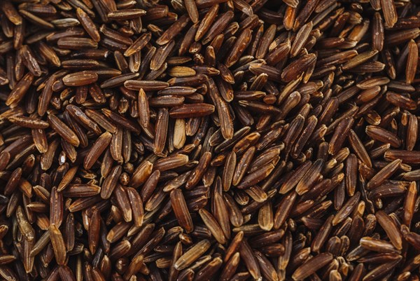 Grains brown rice