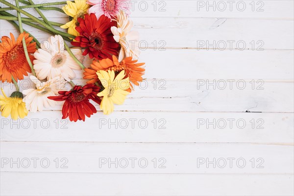 Bunch different flowers