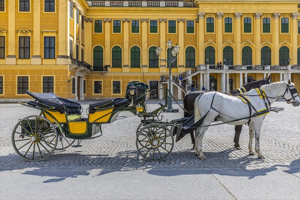 Fiaker carriage waiting for guests in front of Schoenbrunn Palace