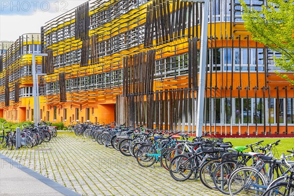 Modern building with green area and parked bicycles
