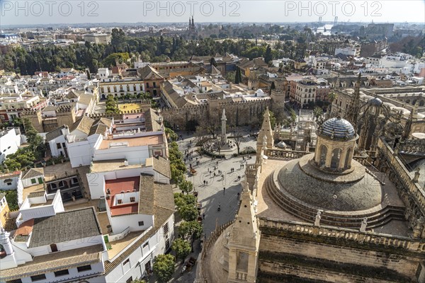 View from the Cathedral to Plaza del Triunfo