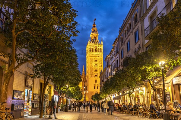 The lively pedestrian street Calle Mateos Gago and the Giralda bell tower of Santa Maria de la Sede Cathedral at dusk