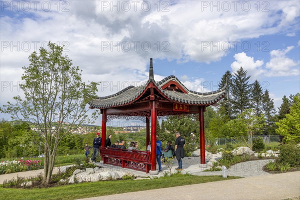 Chinese Pavilion in the Park