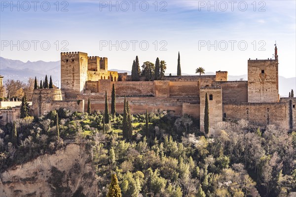 View of the Alhambra in Granada