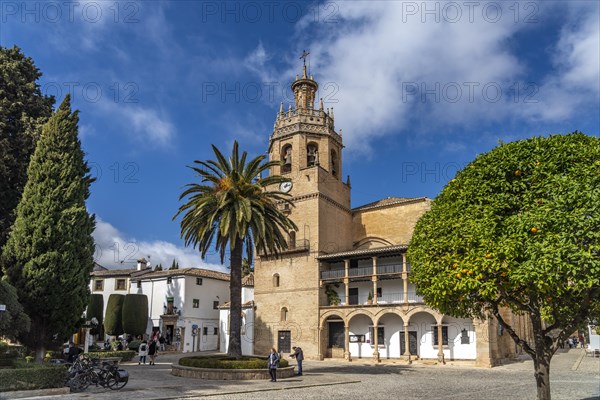 The Church of Santa Maria la Mayor