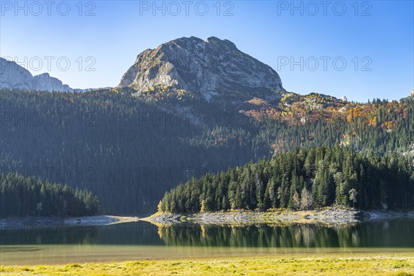 The Black Lake or Crno jezero