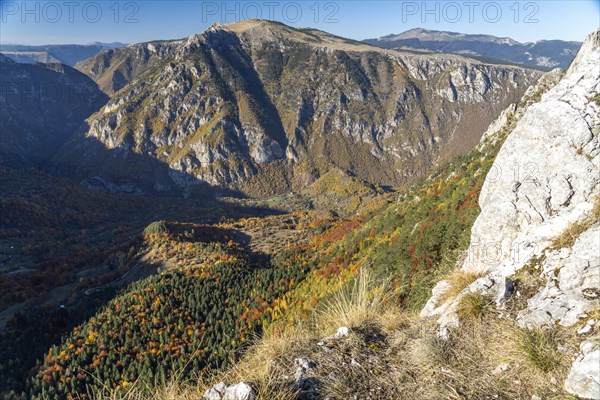 View from the lookout peak Curevac into the Tara Gorge