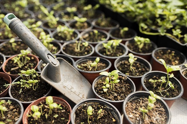 High angle potted plants shovel