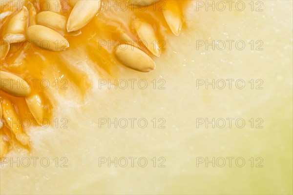 Honeydew melon seeds