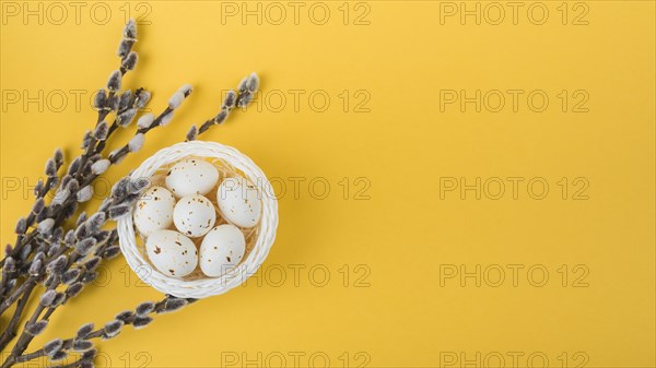 White chicken eggs bowl with willow branches