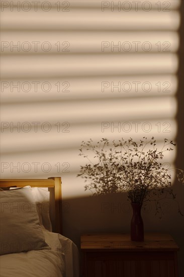 Window shadow bedroom wall