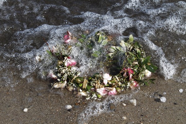 Marine litter washed up on the beach