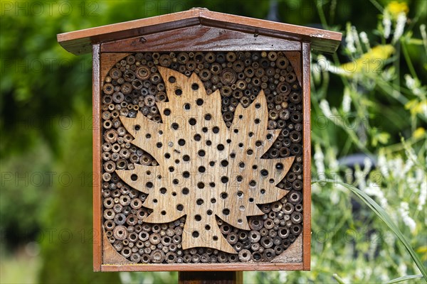 Small wild bee hotel