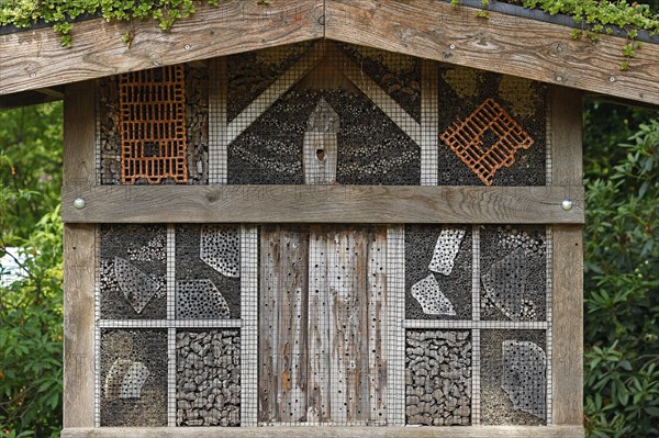 Wild bee hotel