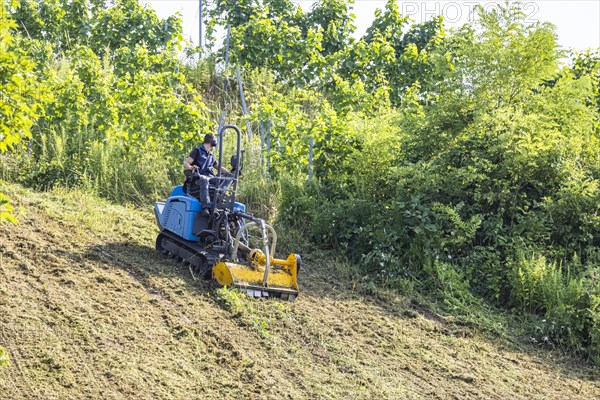 Tracked vehicle mowing a meadow