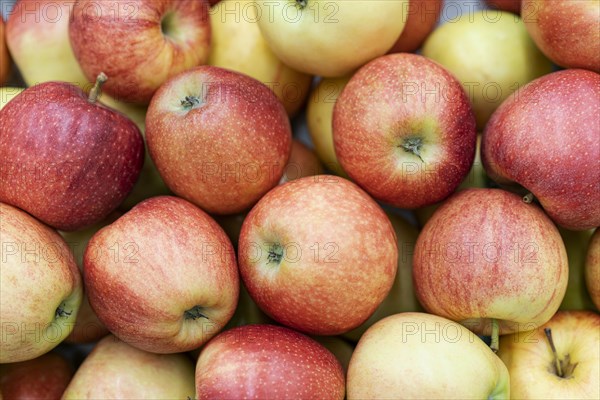 Top view bunch apples