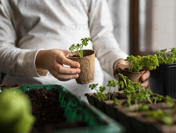 Young child with small plants by window