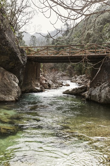 Panormic view nature